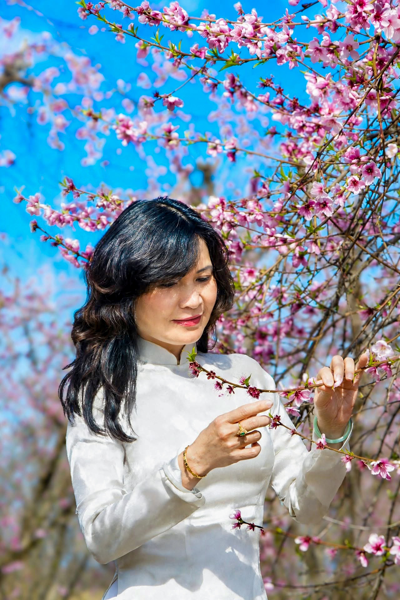 Plum Blossom-2023